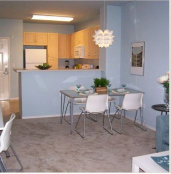 Dan_Nicolau profile photo