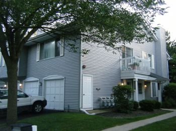 TheMooCow profile photo