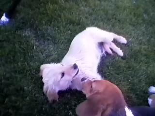 Michelle2007 profile photo