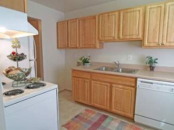 bellabear722 profile photo