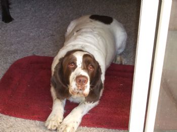 cdeancausse profile photo