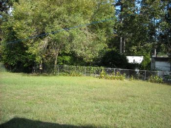 yyveth profile photo