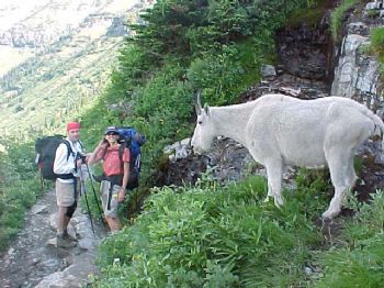 craigkoster profile photo