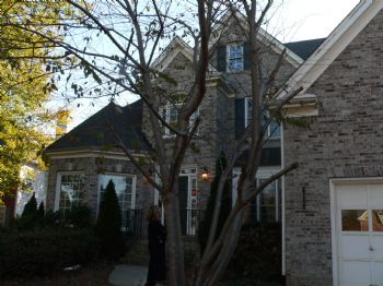 spiritualb profile photo