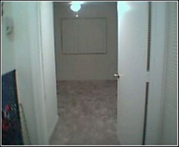 room24 profile photo