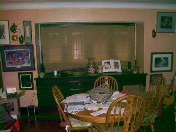 anmplg4l profile photo