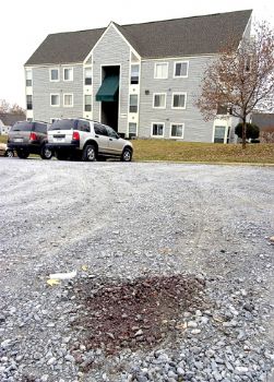 ace223034 profile photo