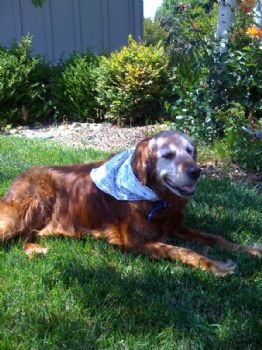 Patrick10 profile photo