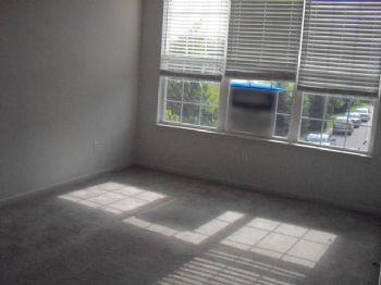 ubernostrum profile photo