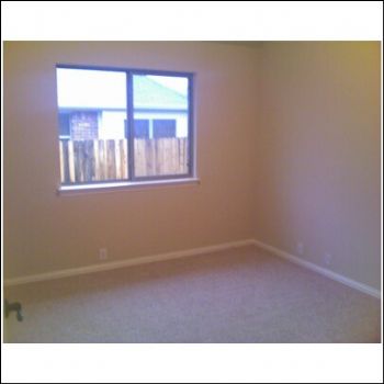 txboi972 profile photo