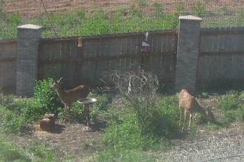 investone profile photo