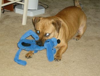 melyreina profile photo