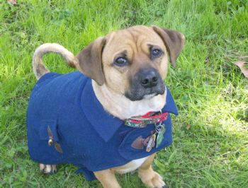 melyreina profile photo