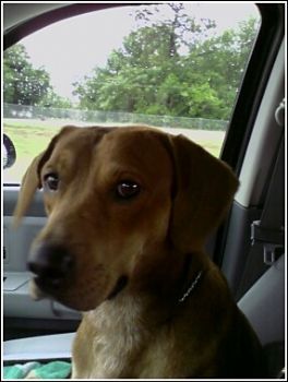 daeday profile photo