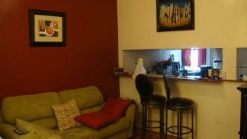 taxiplasm profile photo