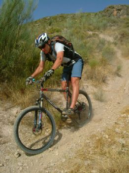 lclpils profile photo