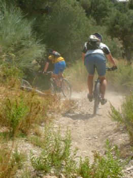 lclpils profile photo