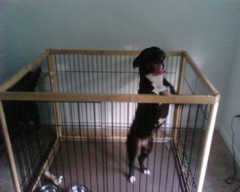 pit_53 profile photo