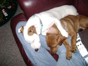 Arae87 profile photo