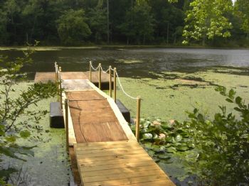 LotusLake profile photo