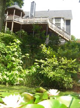 LotusLake profile photo