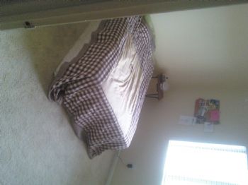 Beachbum310 profile photo