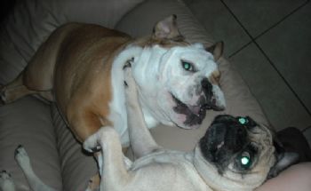 lissdyl2 profile photo