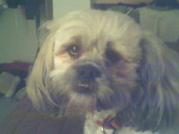 peachbaby882 profile photo