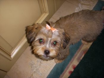 egilm profile photo