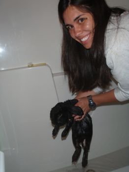 borealis212 profile photo