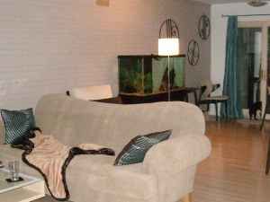 buttercup1 profile photo