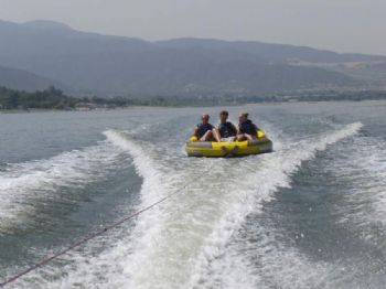 HarryCanary profile photo