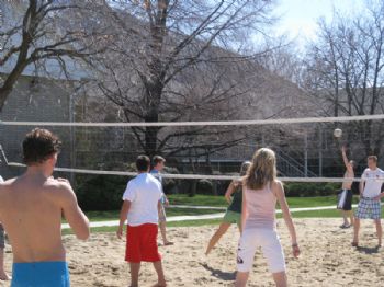 aacevedo profile photo