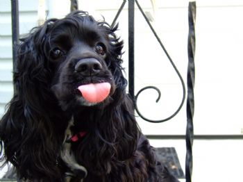 Hottypop87 profile photo