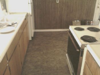 molonlabe profile photo