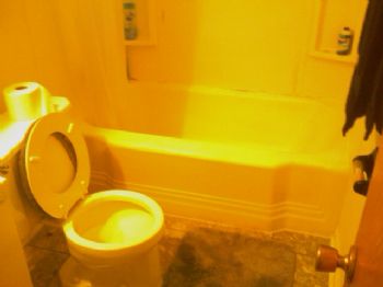 molonlabe profile photo