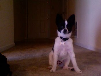 bianca0699 profile photo