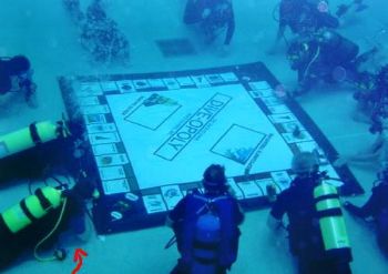 mnwoods profile photo