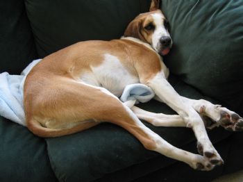 midwyfe profile photo