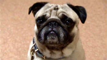 fenkung profile photo