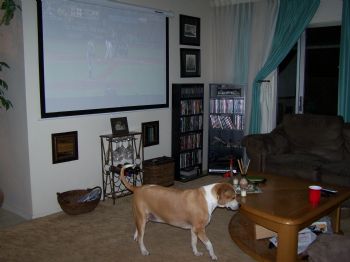 missyt profile photo