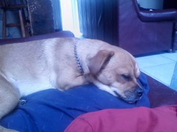 KimSylvester profile photo