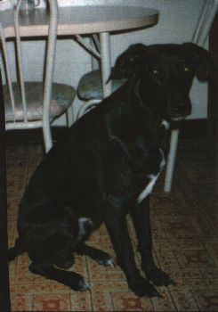 hey1229 profile photo