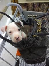 Tsurrel profile photo