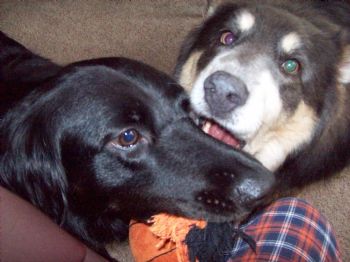 Globug profile photo