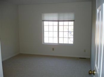 serenity5 profile photo