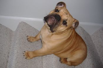 Airick8055 profile photo