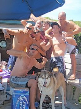 mattdavis3 profile photo