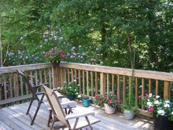 Maddie0322 profile photo