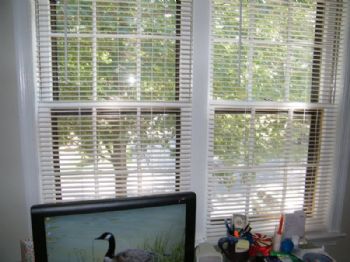 freespirit1 profile photo